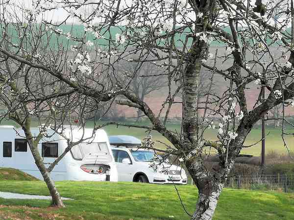 Emplacement pour véhicule de tourisme (Plock) sur sol dur et herbe avec électricité optionnelle