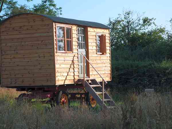 Schäferhütte Gypsy Moth