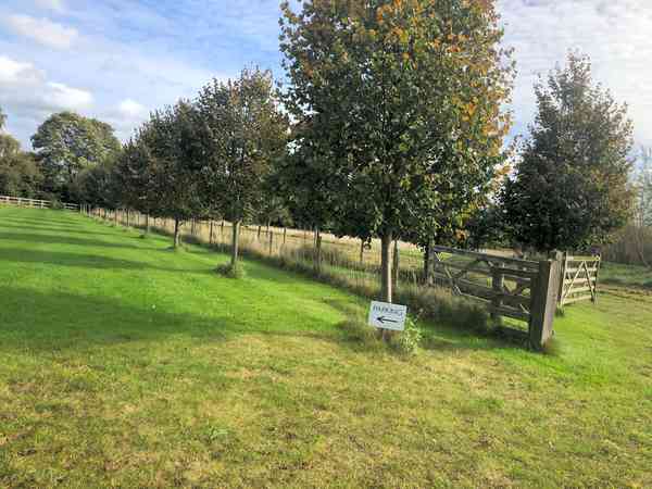 Lime Tree Avenue electric hardstanding and grass motorhome pitch