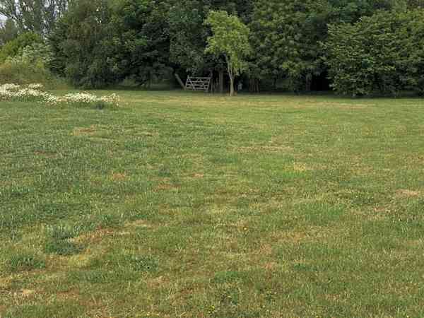 Eight acres of meadow to choose from Eight acres of meadow to choose from