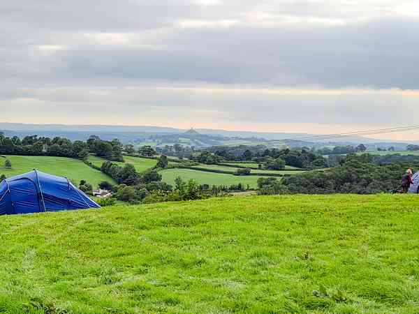 Primitive grass tent or trailer tent site