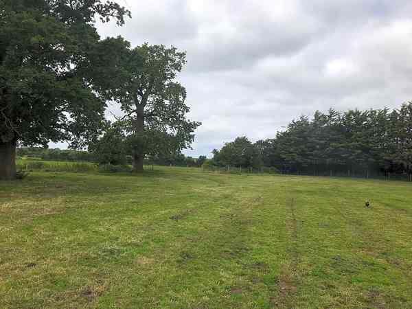 Non-electric grass tent pitch