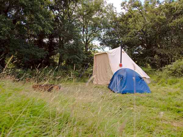 Bush Farm Wild Camping Saltash Updated 2021 Prices Pitchup