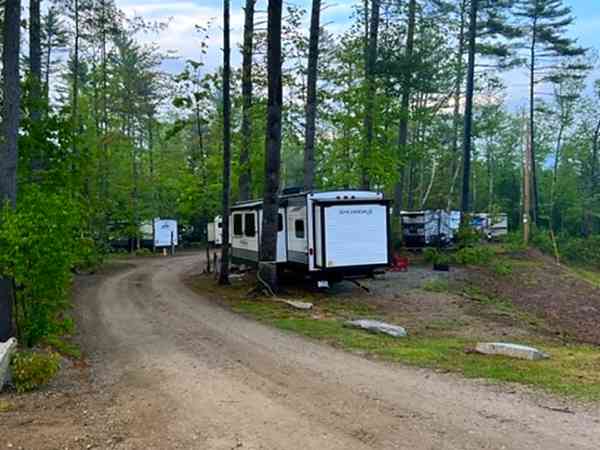Fully-serviced grass and gravel touring pitch (maximum 4 adults)