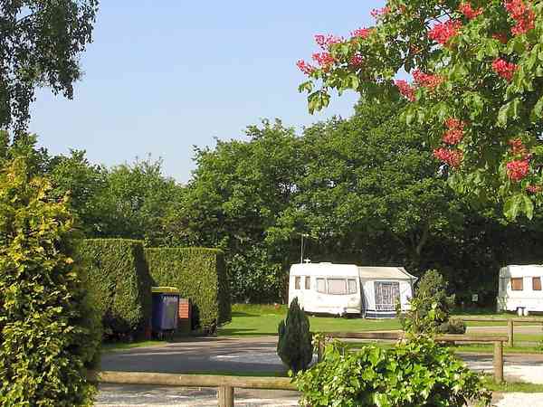 Hardstanding pitches in the family park Hardstanding pitches in the family park