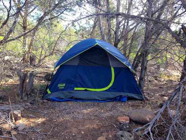 Basil non-electric forest floor tent pitch