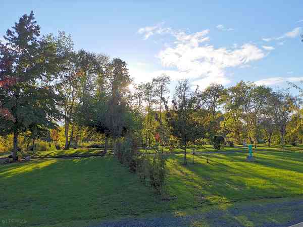 Electric optional grass tent pitch (no cars)