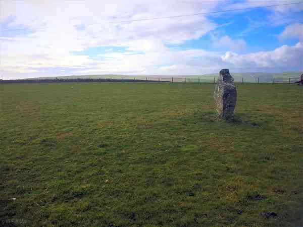 Non-electric grass pitch