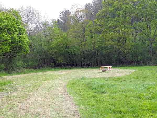 Spacious pitch Spacious pitch