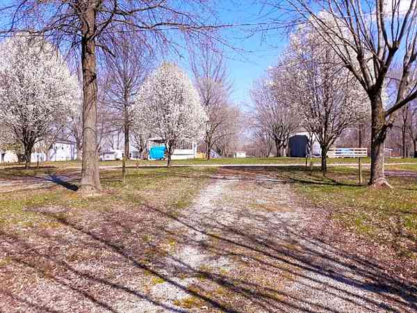 Piazzola roulotte/camper su erba e ghiaia con elettricità (due sensi di marcia)