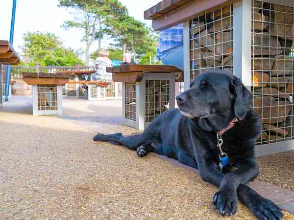 2 bedroom static caravan (pet friendly, superior)
