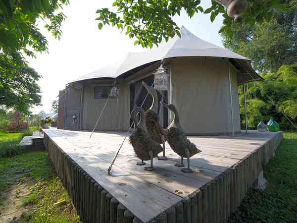 Tenda safari Suite Bagolaro 1 camera (di lusso)