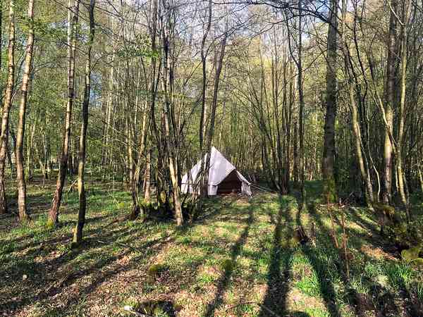Woodsman Kent Wild Camping And Glamping Ashford Updated 2021 Prices Pitchup