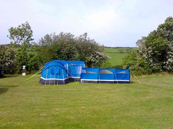 Grass pitch Grass pitch