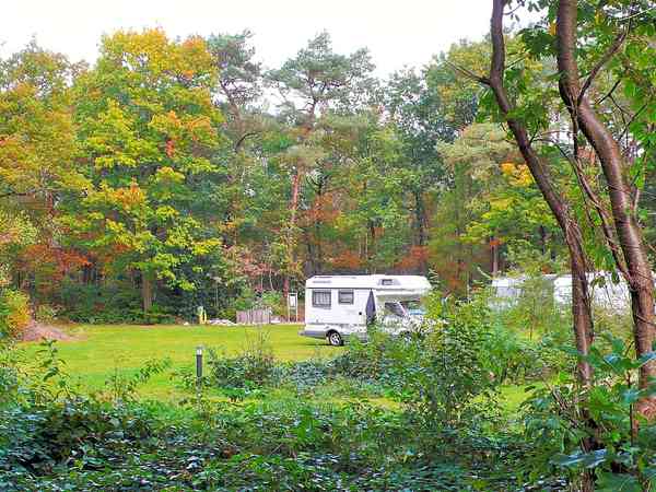 Staplaats voor een tent of voor caravan op gras , met elektriciteit (comfortabel)