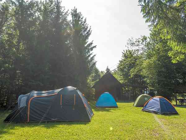 Grassy pitches for tents Grassy pitches for tents