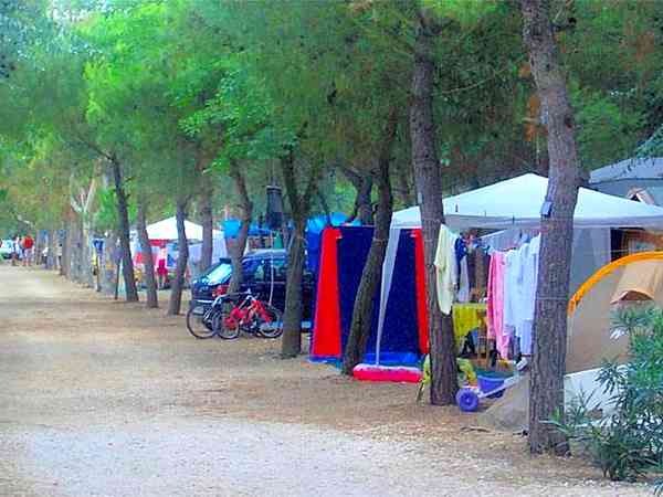 Electric optional gravel and earth tent, trailer tent or touring caravan pitch