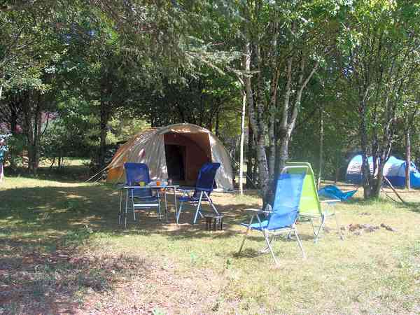 Pitches in the woodland Pitches in the woodland
