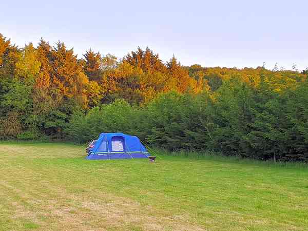Emplacement pour tente sur herbe sans électricité
