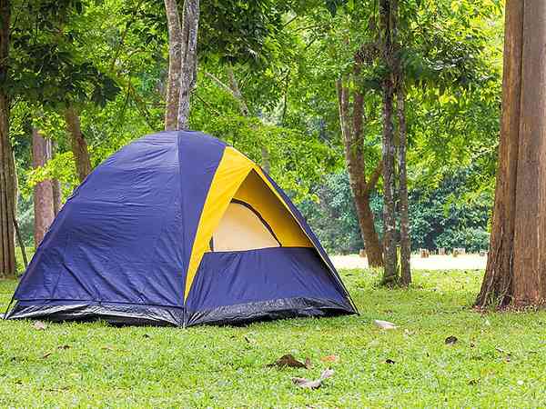 Non-electric grass pitch