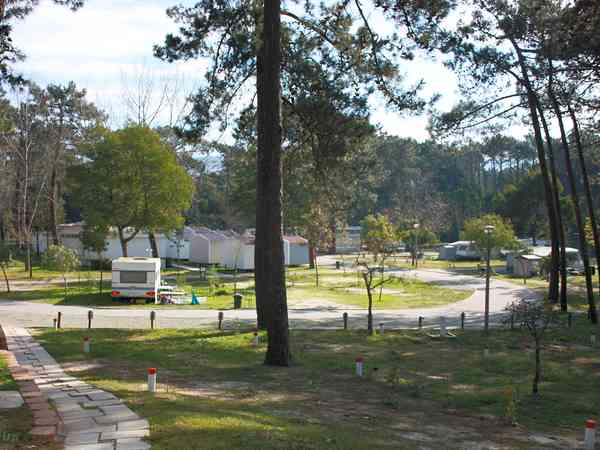 Camping area Camping area