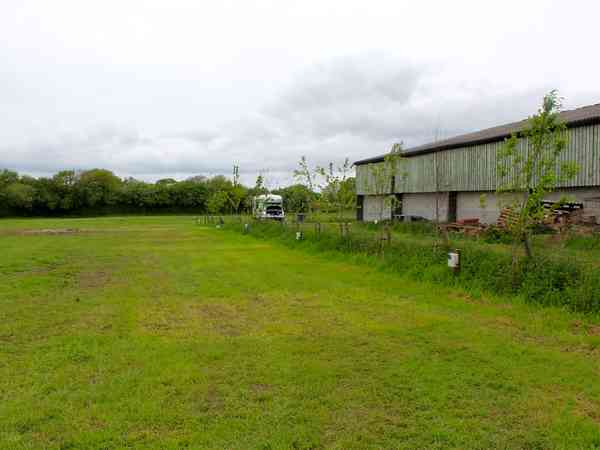Large electric grass pitches Large electric grass pitches