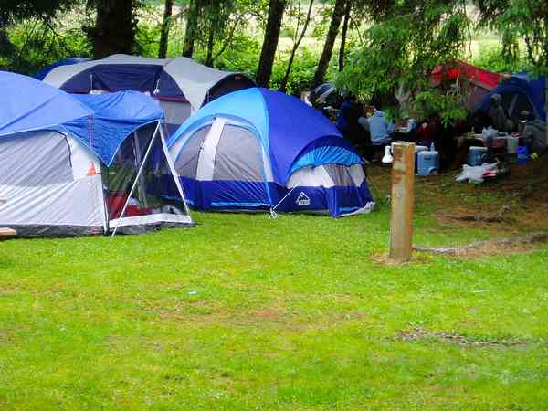 Non-electric grass tent pitch (secluded)