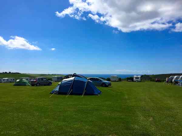 Electric grass pitch