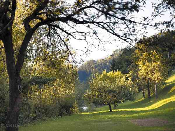 Upper meadow non-electric grass tent pitch (riverside)