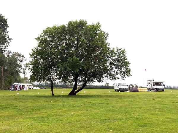 Emplacement (6-amp) sur herbe avec électricité