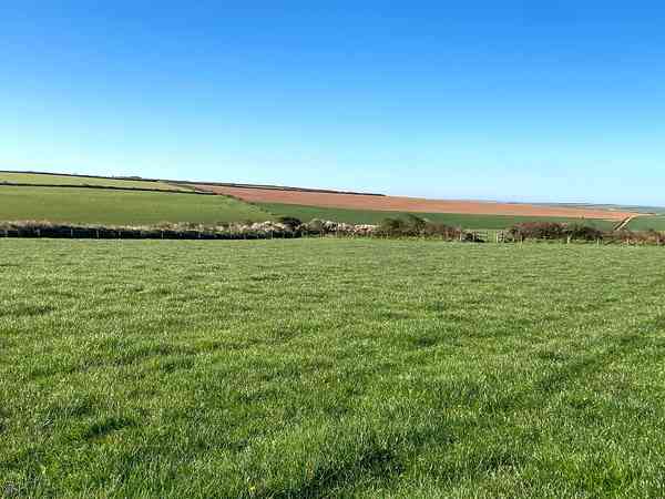 Non-electric grass and earth motorhome pitch
