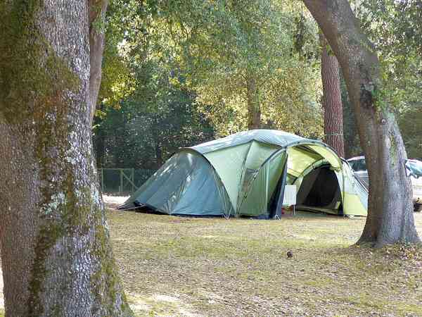 Lote para tenda de grama com eletricidade opcional (sem carros, sozinho)