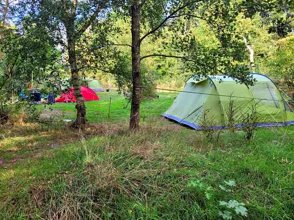 Primitive grass and earth tent site