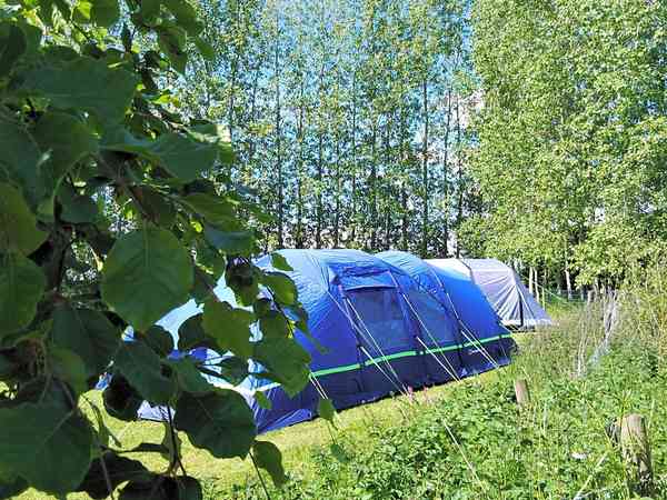 Orchard electric grass tent pitch