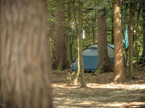 Camp in the woods Camp in the woods