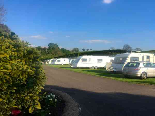 Spacious grass pitches Spacious grass pitches
