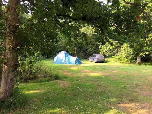 Non-electric grass pitch (no pets)