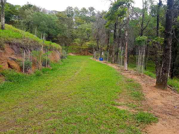 Emplacement pour tente ou pour caravane pliante sur herbe avec électricité