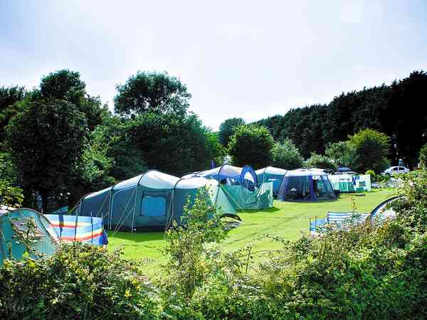Electric grass pitches Electric grass pitches