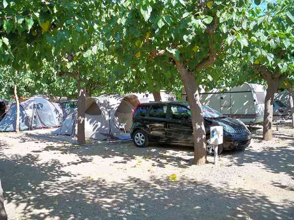 Pitche field surrounded by trees - ideal for tents Pitche field surrounded by trees - ideal for tents
