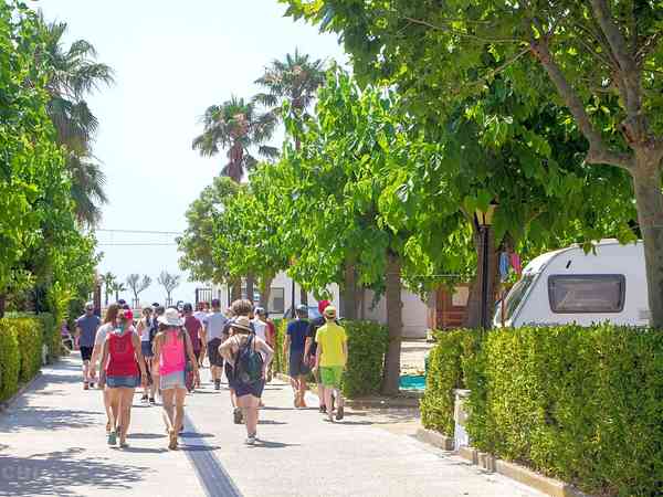 Walk to the beach Walk to the beach