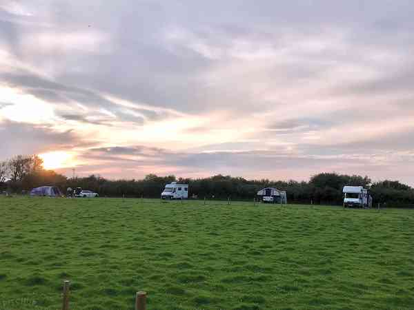 Emplacement pour caravane sur herbe avec électricité