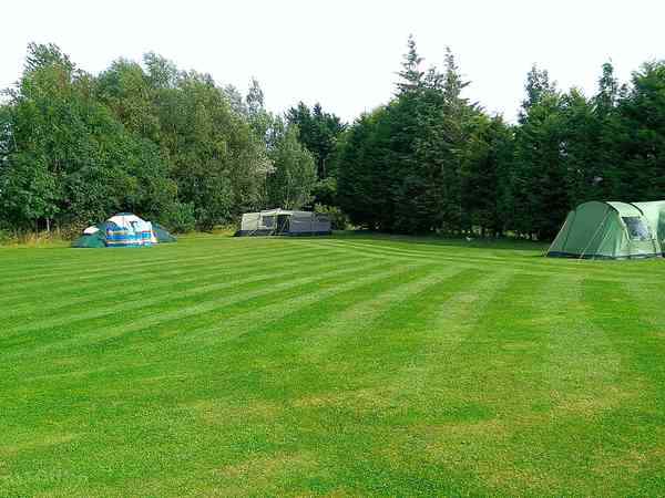 Non-electric grass pitch