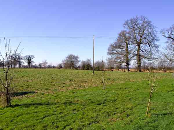 Meadow non-electric grass tent pitch