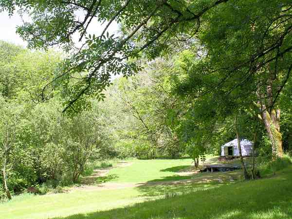Primitive grass tent site