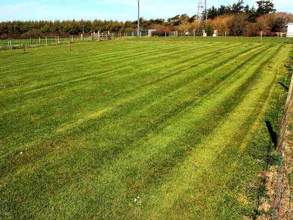 Electric grass pitch