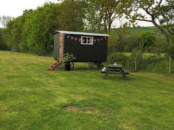 Shepherd's hut