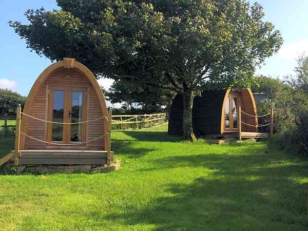 Pods under the trees Pods under the trees