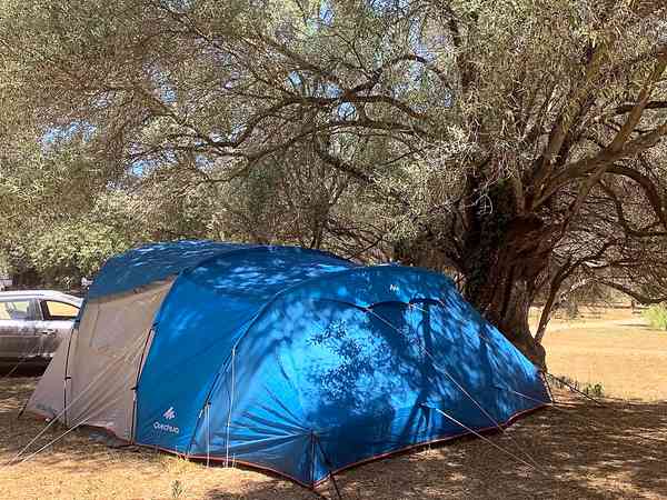 Electric optional mixed tent or trailer tent pitch (two person)
