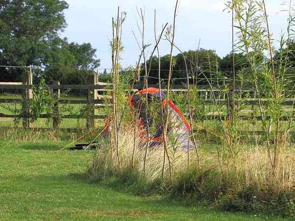Unpowered grass tent site